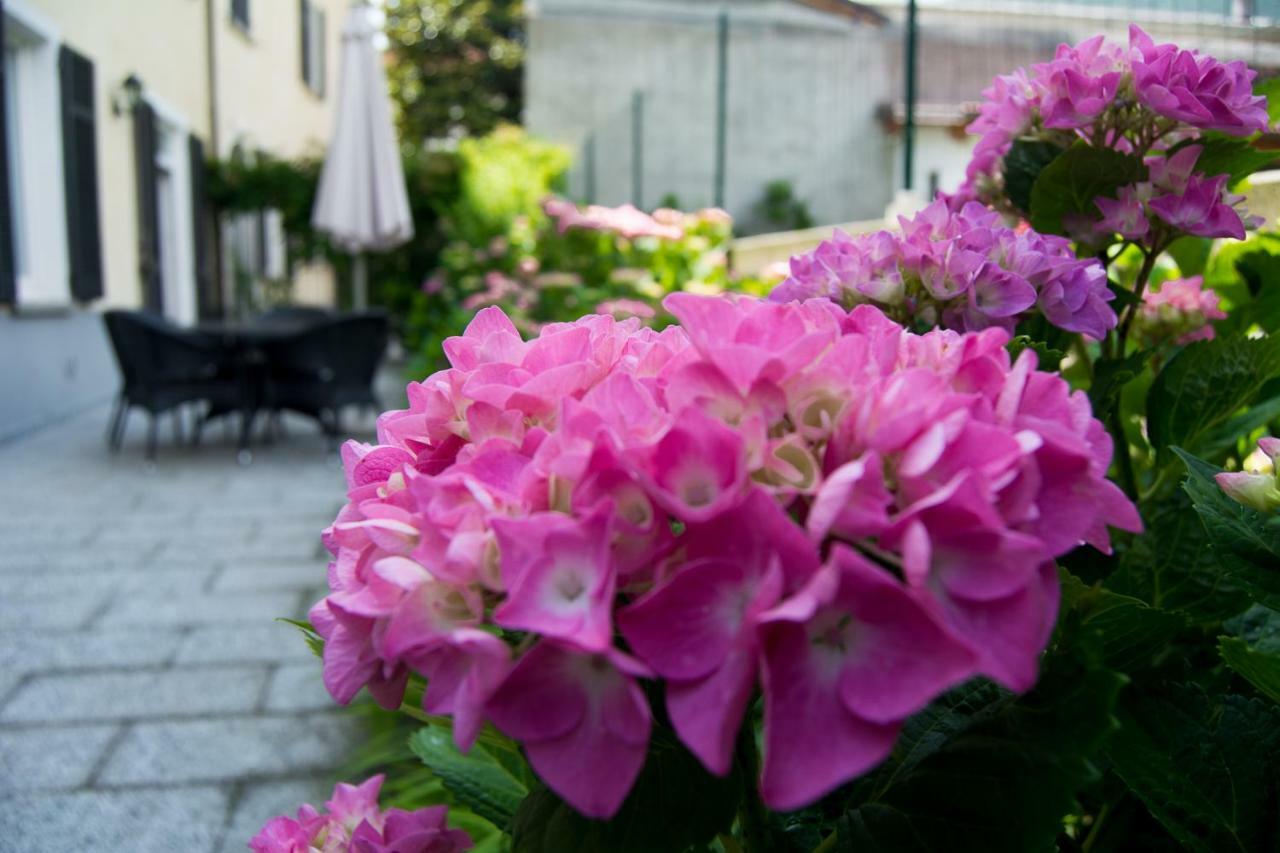 Giardino Delle Ortensie Lägenhet Cannobio Exteriör bild